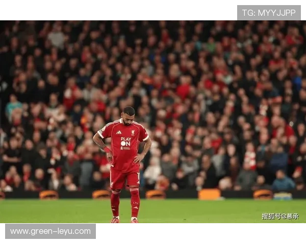 萨拉赫欧冠决赛比赛影响力分析