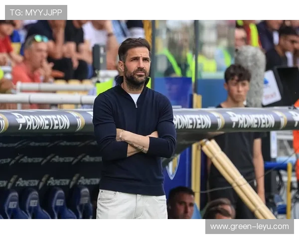 法布雷加斯与哈维：组织核心球权集中度分化，体系依赖性偏移